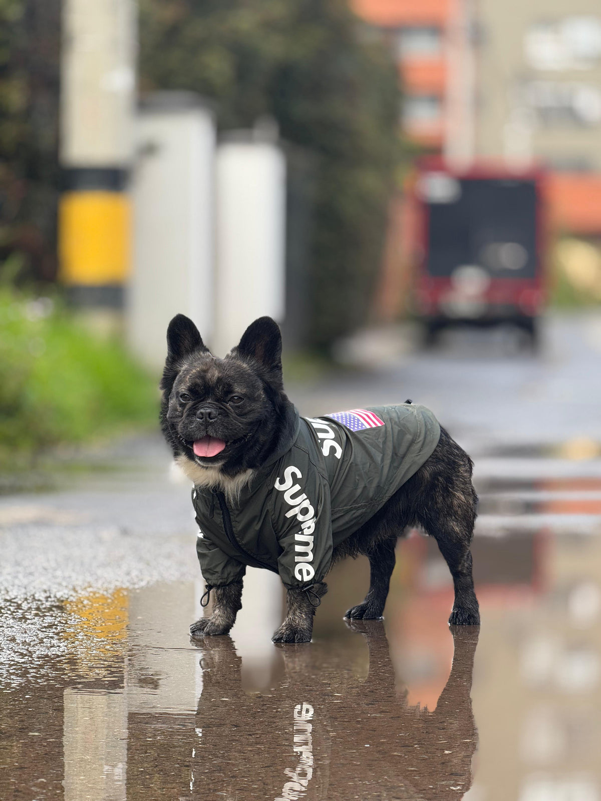 Impermeable Supreme