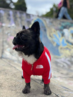 Chaqueta The Dog Face