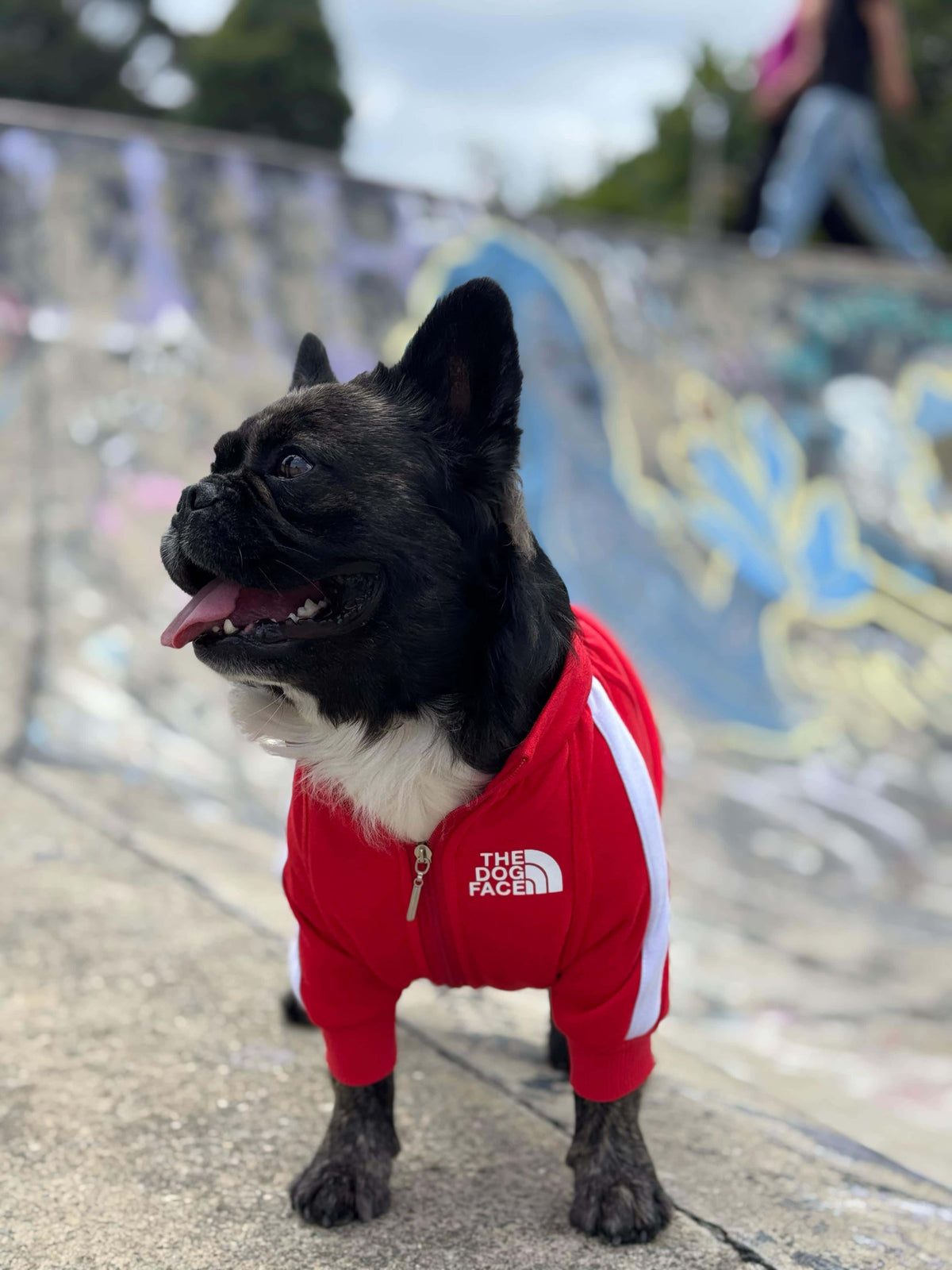 Chaqueta The Dog Face