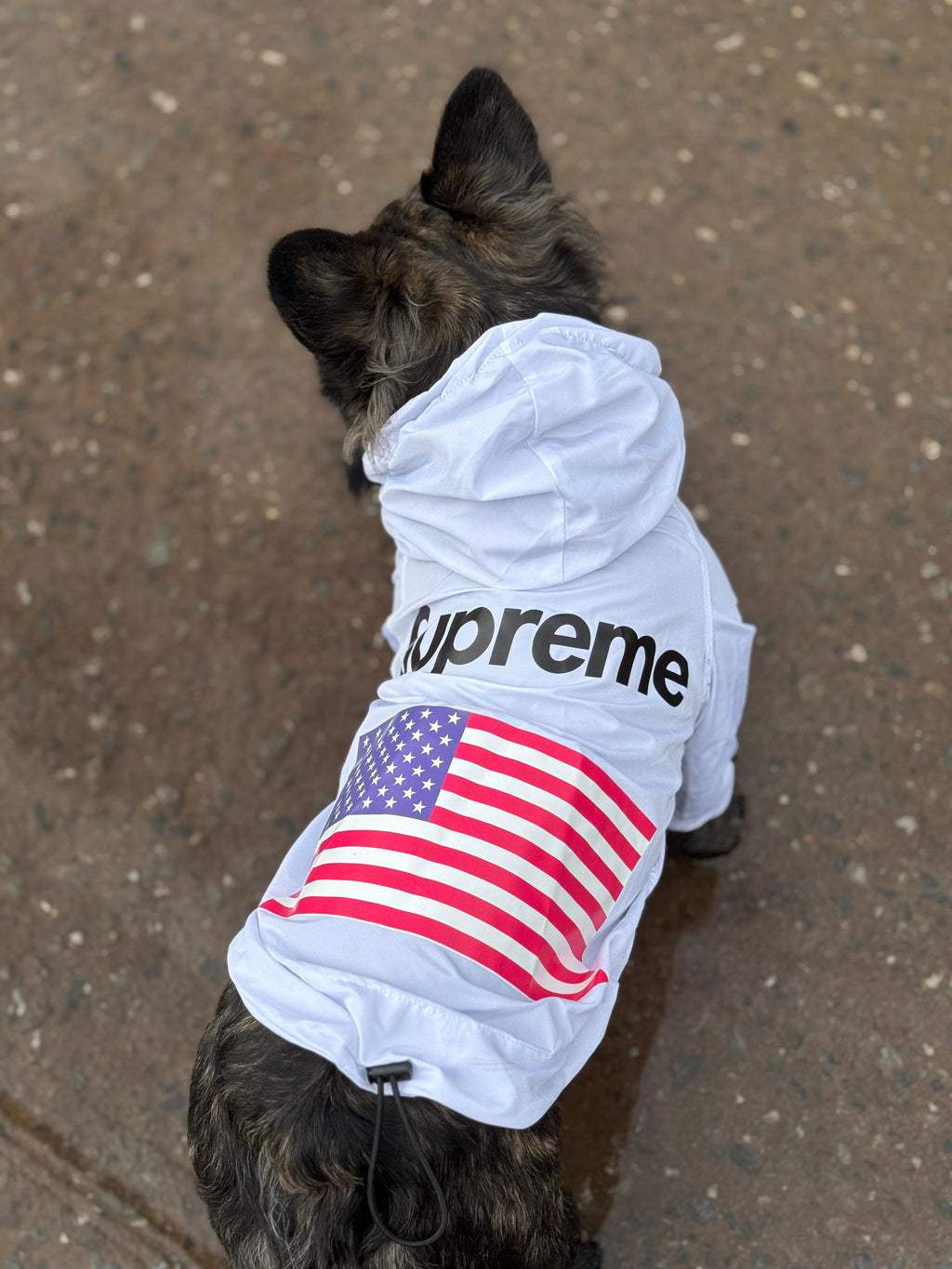 Impermeable Supreme