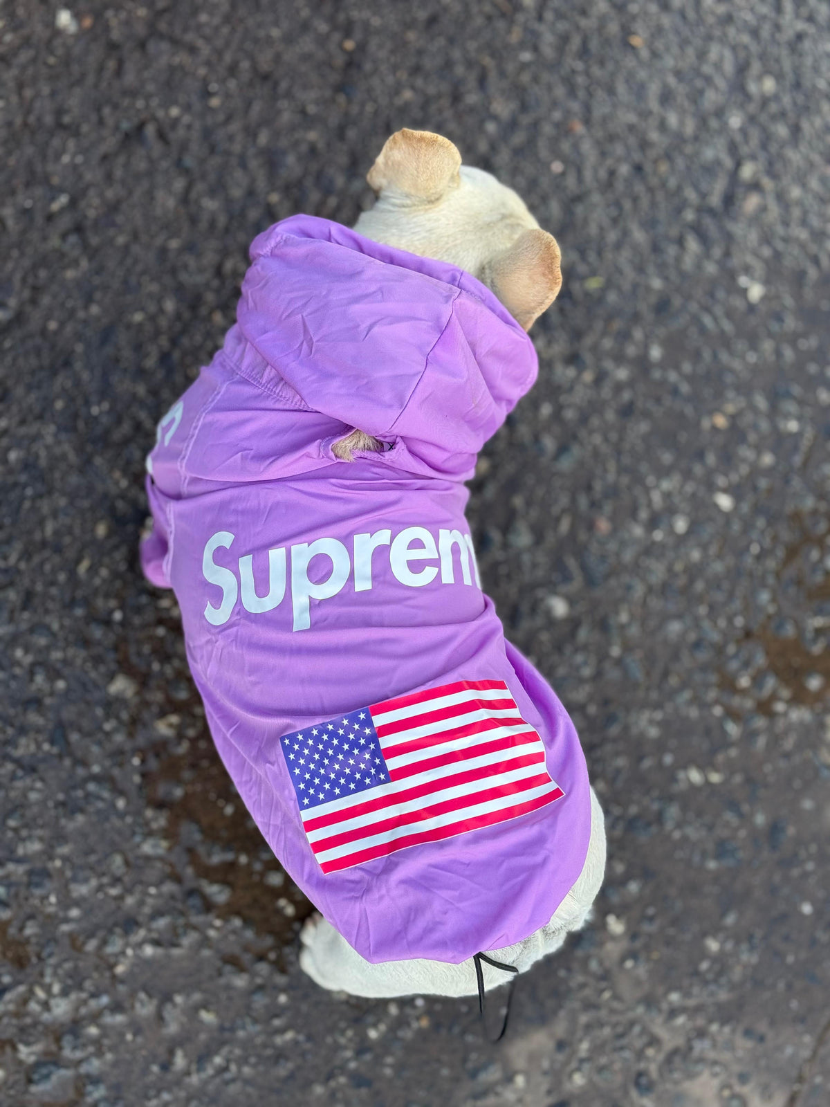 Impermeable Supreme