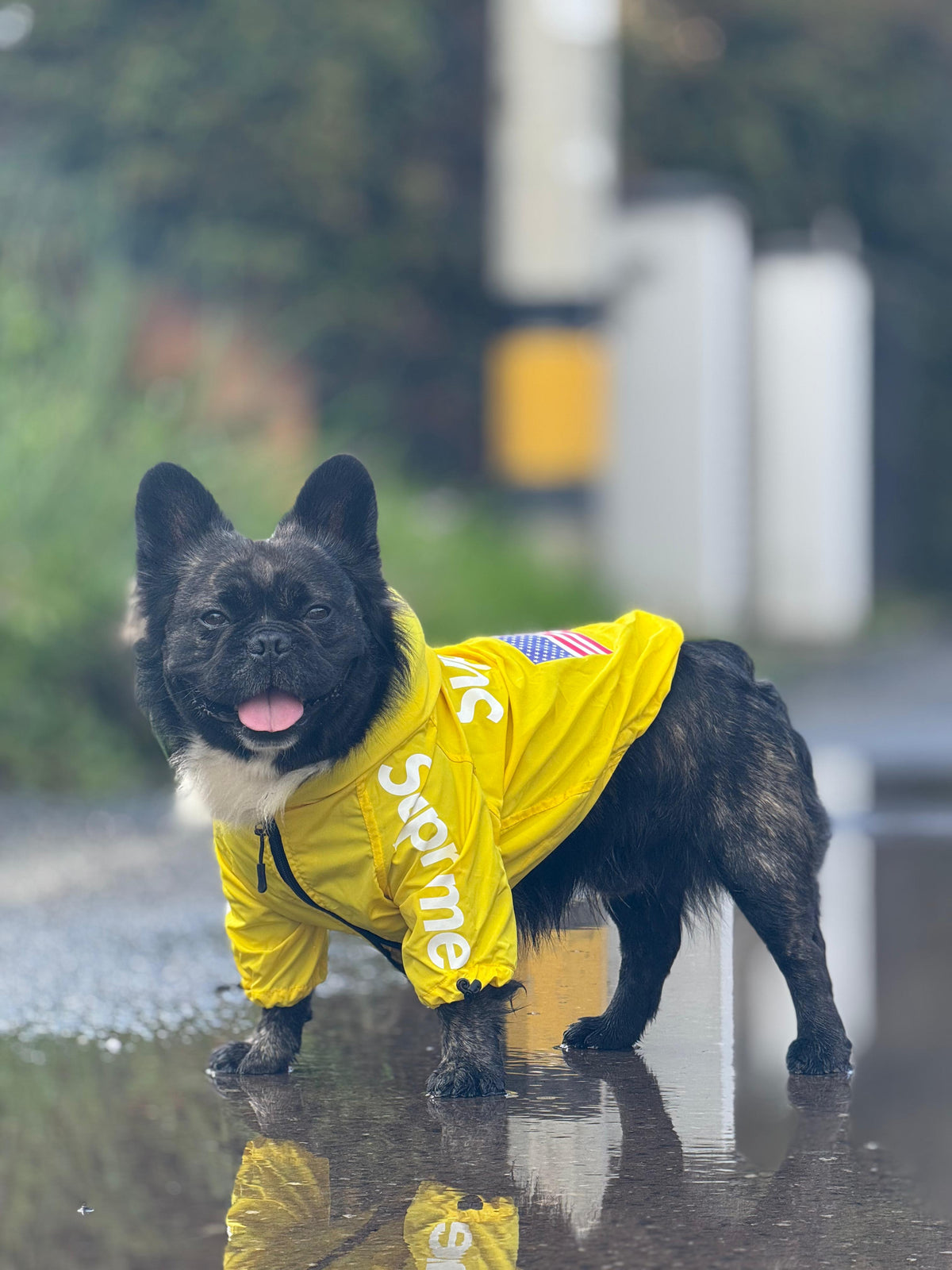 Impermeable Supreme