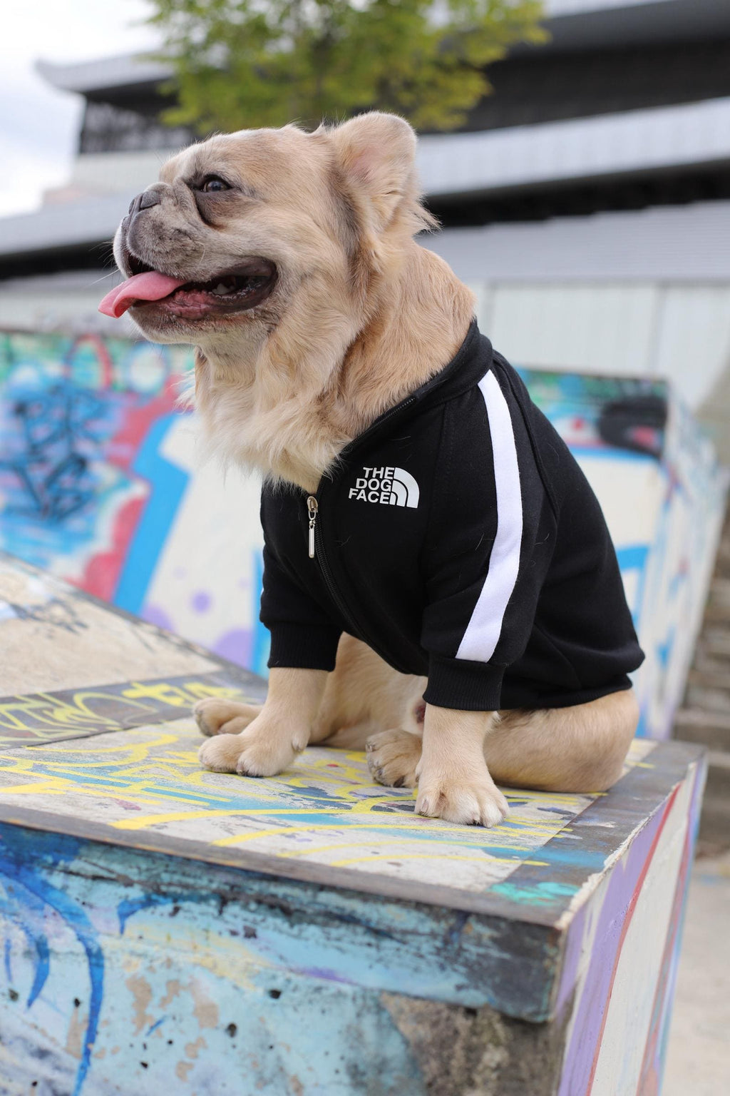 Chaqueta The Dog Face
