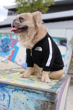 Chaqueta The Dog Face